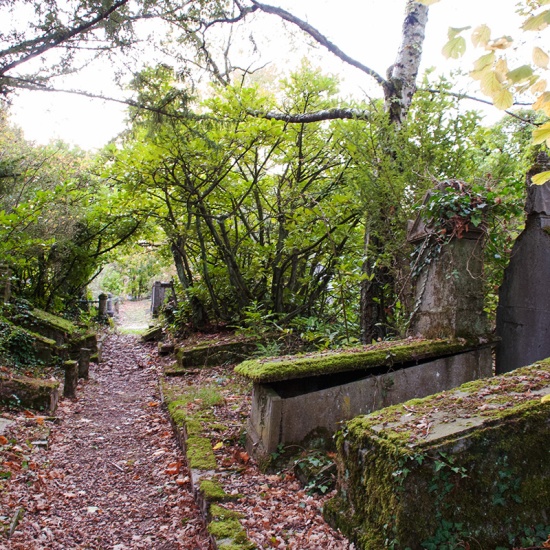 Het kerkhof van Dieweg in Ukkel