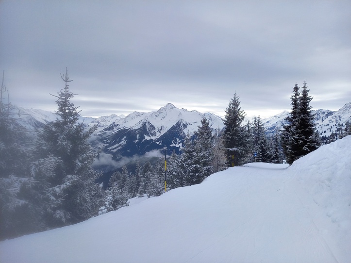 Skireis-Mayrhofen-besneeuwde-bomen-4